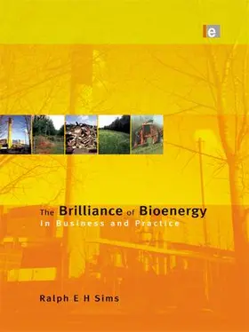 Sims | The Brilliance of Bioenergy | Buch | 978-1-138-98884-2 | sack.de