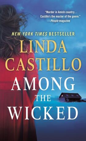 Castillo | Among the Wicked | Buch | 978-1-250-13024-2 | www2.sack.de