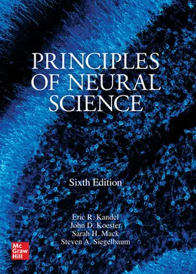 Kandel / Koester / Mack |  Principles of Neural Science, Sixth Edition | Buch |  Sack Fachmedien