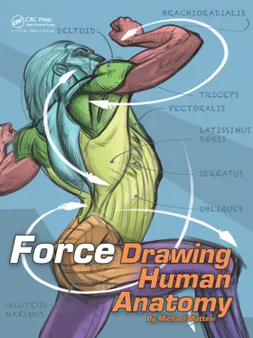 Mattesi |  FORCE: Drawing Human Anatomy | eBook | Sack Fachmedien