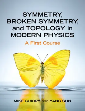 Guidry / Sun |  Symmetry, Broken Symmetry, and Topology in Modern Physics | Buch |  Sack Fachmedien