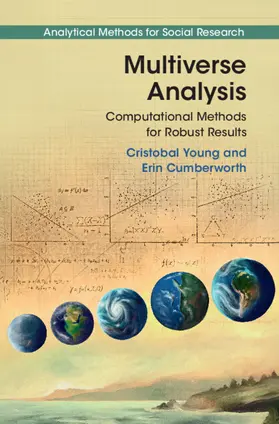 Young / Cumberworth |  Multiverse Analysis | Buch |  Sack Fachmedien