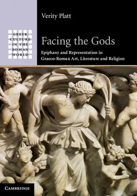 Platt |  Facing the Gods | Buch |  Sack Fachmedien
