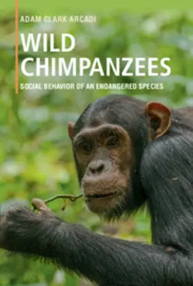 Arcadi |  Wild Chimpanzees | Buch |  Sack Fachmedien