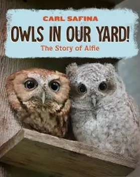 Safina |  Owls in Our Yard!: The Story of Alfie | eBook | Sack Fachmedien