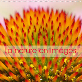Yaffee |  La nature en images (Calendrier mural 2021 300 × 300 mm Square) | Sonstiges |  Sack Fachmedien