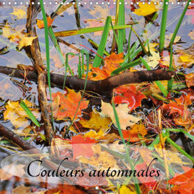Meunier |  Couleurs automnales (Calendrier mural 2021 300 × 300 mm Square) | Sonstiges |  Sack Fachmedien
