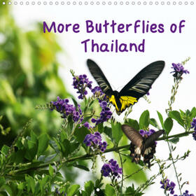 Moran |  More Butterflies of Thailand (Wall Calendar 2021 300 × 300 mm Square) | Sonstiges |  Sack Fachmedien