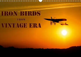 D. |  Iron birds from vintage era (Wall Calendar 2021 DIN A3 Landscape) | Sonstiges |  Sack Fachmedien