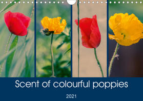 D. |  Scent of colourful poppies (Wall Calendar 2021 DIN A4 Landscape) | Sonstiges |  Sack Fachmedien