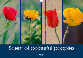 D. |  Scent of colourful poppies (Wall Calendar 2021 DIN A3 Landscape) | Sonstiges |  Sack Fachmedien