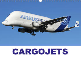 Stevens |  CARGOJETS (Wall Calendar 2021 DIN A3 Landscape) | Sonstiges |  Sack Fachmedien