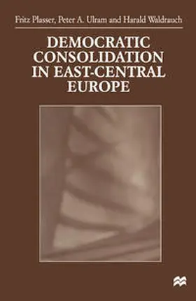 Plasser / Ulram / Waldrauch |  Democratic Consolidation in East-Central Europe | eBook | Sack Fachmedien