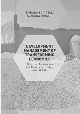Sciarelli / Rinaldi | Development Management of Transforming Economies | Buch | 978-1-349-95595-4 | www2.sack.de