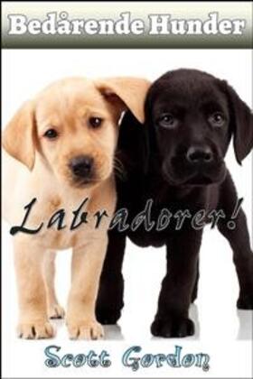 Gordon |  Bedårende Hunder: Labradorer | eBook | Sack Fachmedien