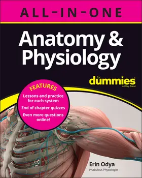 Odya |  Anatomy & Physiology All-In-One for Dummies (+ Chapter Quizzes Online) | Buch |  Sack Fachmedien