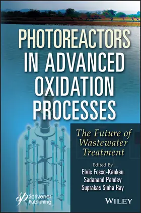 Fosso-Kankeu / Pandey / Ray |  Photoreactors in Advanced Oxidation Process | Buch |  Sack Fachmedien