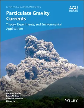 Kneller / Meiburg / Vowinckel |  Particulate Gravity Currents | Buch |  Sack Fachmedien