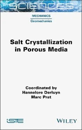 Derluyn / Prat |  Salt Crystallization in Porous Media | eBook | Sack Fachmedien