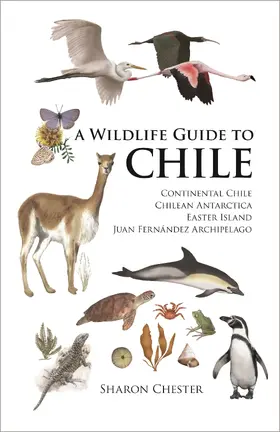 Chester |  A Wildlife Guide to Chile | eBook | Sack Fachmedien