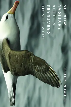 Vogel |  Glimpses of Creatures in Their Physical Worlds | eBook | Sack Fachmedien