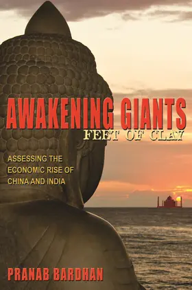 Bardhan |  Awakening Giants, Feet of Clay | eBook | Sack Fachmedien