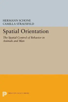 Schone |  Spatial Orientation | eBook | Sack Fachmedien