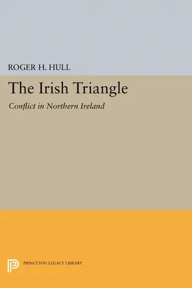 Hull |  The Irish Triangle | eBook | Sack Fachmedien