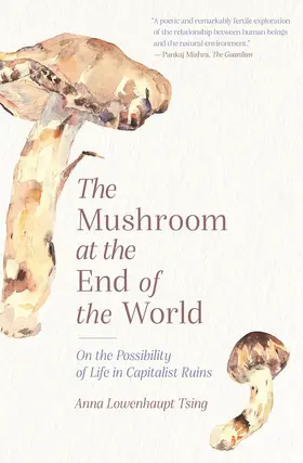 Tsing |  The Mushroom at the End of the World | eBook | Sack Fachmedien