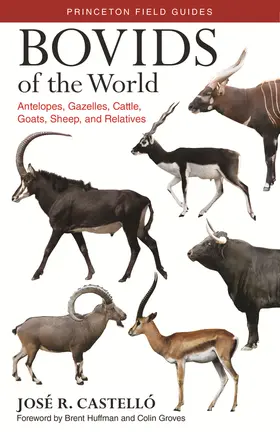 Castelló / Castello |  Bovids of the World | eBook | Sack Fachmedien
