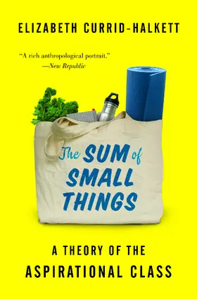 Currid-Halkett |  The Sum of Small Things | eBook | Sack Fachmedien