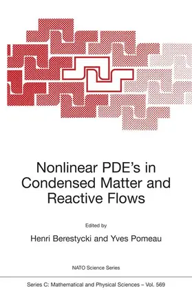 Pomeau / Berestycki |  Nonlinear PDE's in Condensed Matter and Reactive Flows | Buch |  Sack Fachmedien