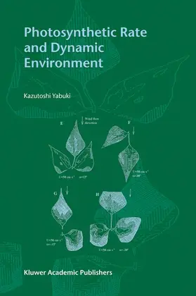 Yabuki |  Photosynthetic Rate and Dynamic Environment | Buch |  Sack Fachmedien