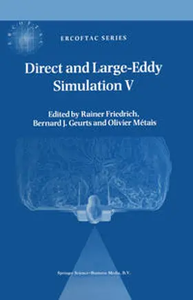Friedrich / Geurts / Métais |  Direct and Large-Eddy Simulation V | eBook | Sack Fachmedien
