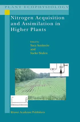 Amancio / Stulen |  Nitrogen Acquisition and Assimilation in Higher Plants | eBook | Sack Fachmedien