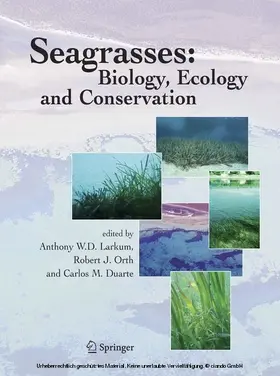 Larkum / Orth / Duarte | Seagrasses: Biology, Ecology and Conservation | E-Book | sack.de