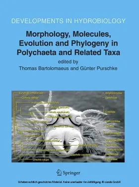 Universität Osnabrück / Purschke |  Morphology, Molecules, Evolution and Phylogeny in Polychaeta and Related Taxa | eBook | Sack Fachmedien