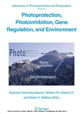 Demmig-Adams / Adams / Mattoo | Photoprotection, Photoinhibition, Gene Regulation, and Environment | E-Book | sack.de