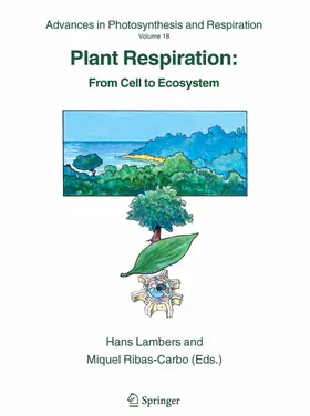 Lambers / Univ. de les Illes Balears |  Plant Respiration | eBook | Sack Fachmedien