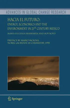 Boyd / Ibarrarán |  Hacia el Futuro | Buch |  Sack Fachmedien