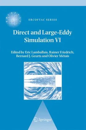 Lamballais / Friedrich / Geurts | Direct and Large-Eddy Simulation VI | Buch | 978-1-4020-4909-5 | www2.sack.de