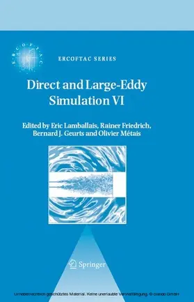 Lamballais / Friedrich / Geurts |  Direct and Large-Eddy Simulation VI | eBook | Sack Fachmedien