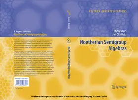 Jespers / Okninski |  Noetherian Semigroup Algebras | eBook | Sack Fachmedien