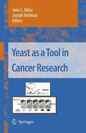 Nitiss / Heitman |  Yeast as a Tool in Cancer Research | Buch |  Sack Fachmedien