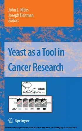 Nitiss / Heitman |  Yeast as a Tool in Cancer Research | eBook | Sack Fachmedien