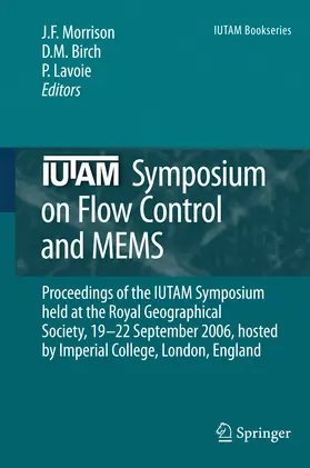 Morrison / Lavoie / Birch |  IUTAM Symposium on Flow Control and MEMS | eBook | Sack Fachmedien