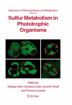 Hell / Dahl / Knaff |  Sulfur Metabolism in Phototrophic Organisms | eBook | Sack Fachmedien