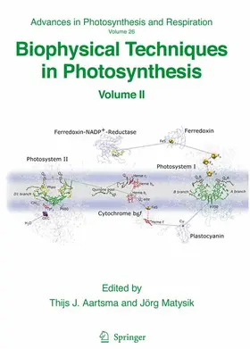 Matysik / Aartsma |  Biophysical Techniques in Photosynthesis | Buch |  Sack Fachmedien