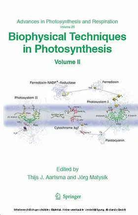 Aartsma / Matysik |  Biophysical Techniques in Photosynthesis | eBook | Sack Fachmedien