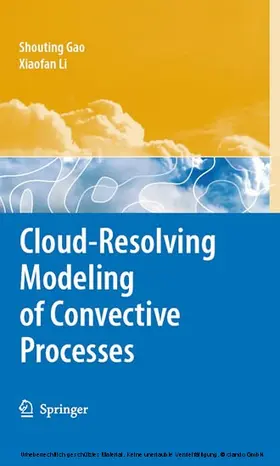 Gao / Li |  Cloud-Resolving Modeling of Convective Processes | eBook | Sack Fachmedien